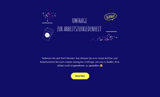 Fragebogen zur Arbeitszufriedenheit