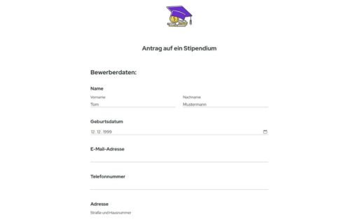 Stipendium-Bewerbungsvorlage