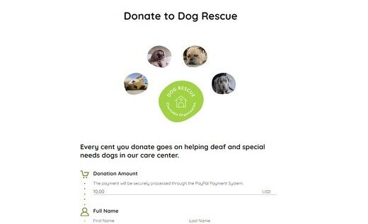 Donation Form