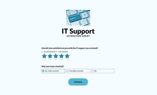 IT Support Satisfaction Survey