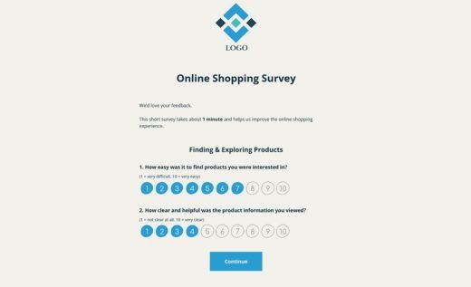 Online Shopping Survey